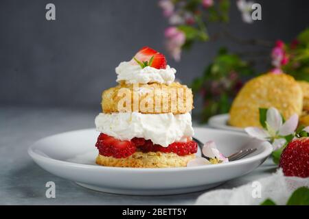 Frittata di fragole fatta in casa con farcite di crema, fuoco selettivo Foto Stock