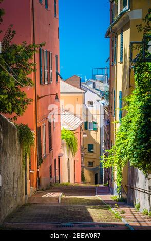 Scalinata tra edifici multicolori con pareti colorate e piante verdi su una strada stretta nel quartiere antico del centro storico della città europea Gen Foto Stock