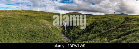 Cascata di Svartifoss circondata da colonne di basalto scuro in Islanda Foto Stock