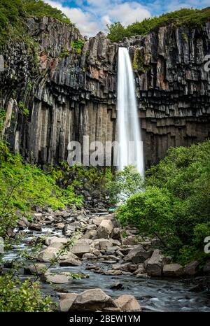 Cascata di Svartifoss circondata da colonne di basalto scuro in Islanda Foto Stock