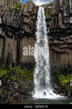Cascata di Svartifoss circondata da colonne di basalto scuro in Islanda Foto Stock