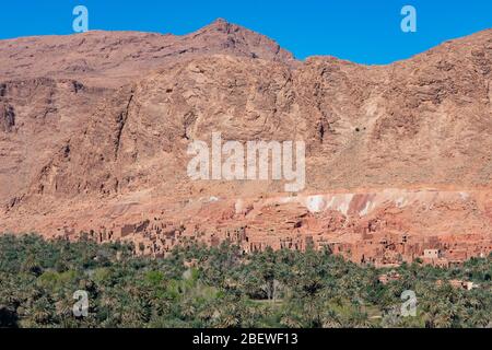 Grande parete di scogliera con edifici di fango all'Oasi di Tinerhir vicino alla gola di Todra in Marocco Foto Stock