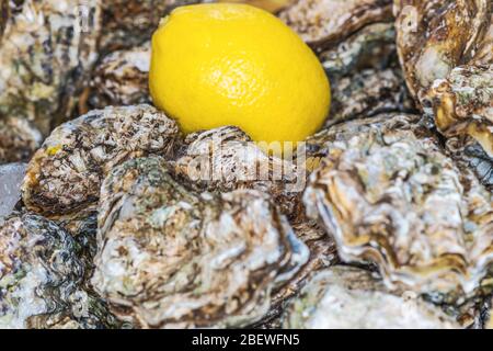 ostriche chiuse, guscio di ostriche fresche, molluschi nel mercato dei frutti di mare, ristorante di pesce afrodisiaco, cibo fresco costoso, menu ristorante piatto Foto Stock