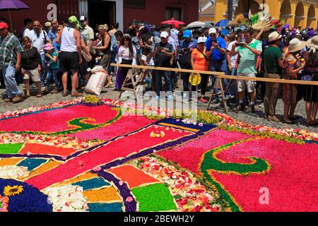 Alfrombras per la Settimana Santa durante la processione, la Città di Antigua, Guatemala, America Centrale Foto Stock