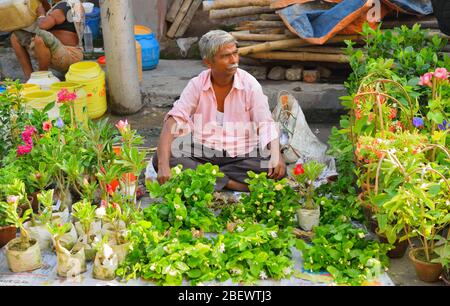 Kolkata, India - 21 maggio 2017: Un uomo che vende piante da fiore nel suo negozio. Foto Stock