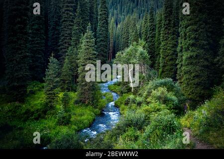 Bella vista del fiume in montagna succosa foresta vicino Kolsai presso al crepuscolo in Kazakistan Foto Stock