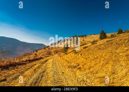 Vista mozzafiato della bellissima riserva naturale biosferica di Chuprene, Monti dei Balcani, sentiero escursionistico per Midzhur, al confine serbo con la Bulgaria Foto Stock