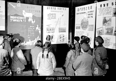 Nel 1959 le mostre agricole nelle province di Shaanxi Gan Qing e Ning nel 1959 le mostre agricole nelle province di Shaanxi Gan Qing e Ning Foto Stock