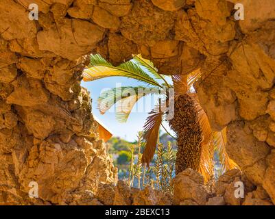 Decorazione di palme vista dalla struttura interna della piccola isola paradisiaca Riserva Naturale Isola Bella, Taormina, Provincia di Messina, Sicilia Foto Stock