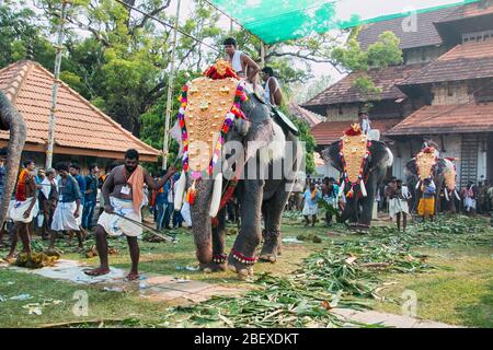 Gli elefanti caparisoned decorate divinità incorporato in golden Kolams tenuto con ombrelloni colorati da thrissur pooram,Kerala, India Foto Stock