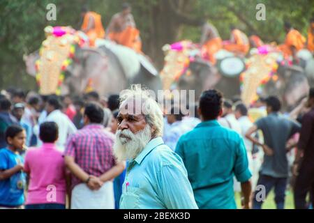 Gli elefanti caparisoned decorate divinità incorporato in golden Kolams tenuto con ombrelloni colorati da thrissur pooram,Kerala, India Foto Stock