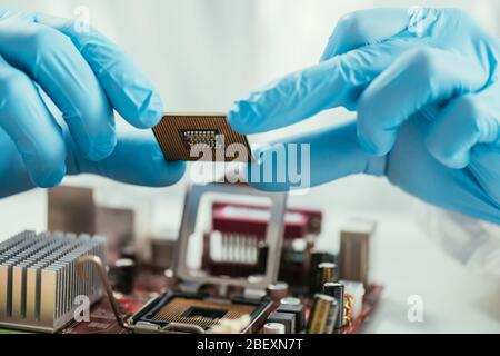 vista parziale del tecnico che tiene il microchip vicino alla scheda madre del computer Foto Stock