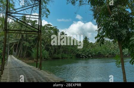 Ponte in legno sulla bella giungla lungo il fiume, mentre si esporava l'isola di Java su una moto Foto Stock