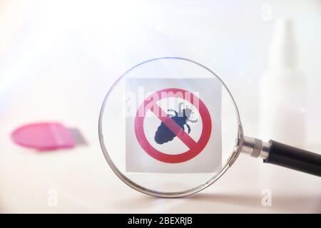 Concetto di prevenzione delle pidocchi con lente d'ingrandimento focalizzata sul disegno di pidocchi proibiti e accessori sullo sfondo. Composizione orizzontale. Anteriore Foto Stock