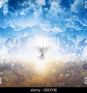 Il Santo Spirito vola nel cielo, la luce luminosa splende dal cielo, la colomba bianca - simbolo di amore e di pace - discende dal cielo Foto Stock