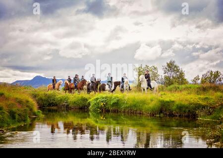 Cavallo islandese. Gruppo di piloti in piedi al bordo dell'acqua. Islanda Foto Stock
