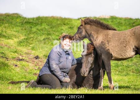 Cavallo islandese. Donna ridente seduta accanto a Mare riposo e il suo nemico giocoso. Islanda Foto Stock