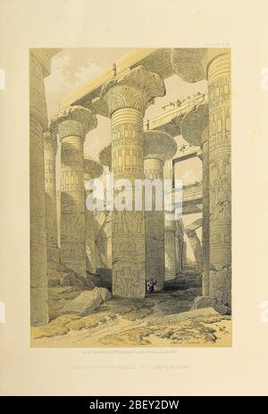 Sala delle colonne a Karnak dalla Terra Santa : Siria, Idumea, Arabia, Egitto e Nubia di Roberts, David, (1796-1864) inciso da Louis Haghe. Volumi 5 e 6. Libro pubblicato nel 1855 da D. Appleton & Co., 346 & 348 Broadway a New York. Foto Stock