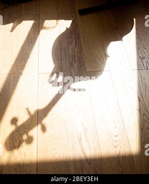 Ombra di un violoncello su un pavimento in legno Foto Stock