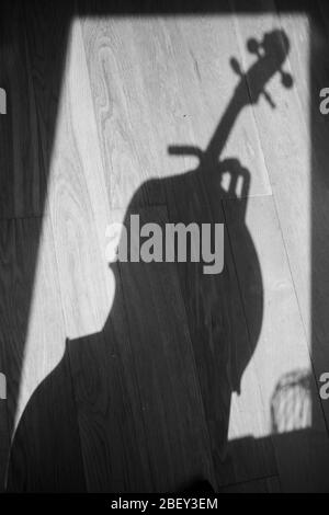 Ombra di un violoncello su un pavimento in legno Foto Stock
