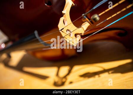 Foto di primo piano con i dettagli del violoncello Foto Stock