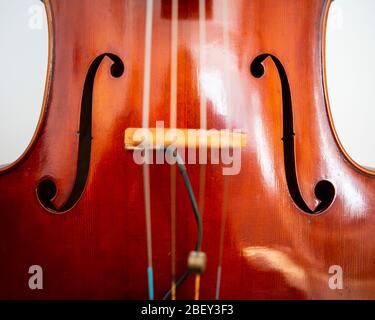 Foto di primo piano con i dettagli del violoncello Foto Stock