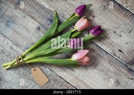 Tulipani rosa e viola legati con cartoncino regalo Foto Stock