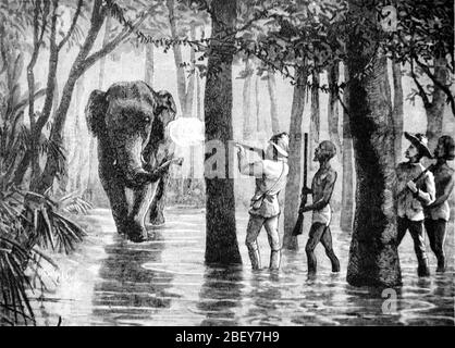 Cacciatori coloniali che uccidono l'elefante della foresta o l'elefante asiatico aka l'elefante asiatico, l'elefante maximus di Elephas, sulla caccia dell'elefante a Ceylon o Sri Lanka. Vintage o Old Illustration o Engraving 1888 Foto Stock