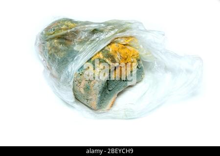 L'immagine di un pane completamente ammuffito a causa della conservazione errata in un sacco di hdpe. Marcio e uneasable. Isolato su sfondo bianco. Foto Stock