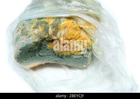 L'immagine di un pane completamente ammuffito a causa della conservazione errata in un sacco di hdpe. Marcio e uneasable. Isolato su sfondo bianco. Foto Stock
