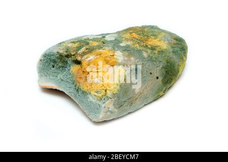 L'immagine di un pane completamente ammuffito a causa della conservazione errata in un sacco di hdpe. Marcio e uneasable. Isolato su sfondo bianco. Foto Stock
