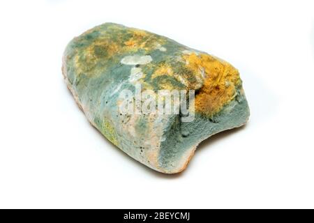 L'immagine di un pane completamente ammuffito a causa della conservazione errata in un sacco di hdpe. Marcio e uneasable. Isolato su sfondo bianco. Foto Stock