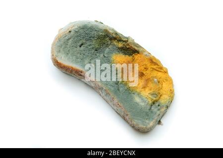 L'immagine di un pane completamente ammuffito a causa della conservazione errata in un sacco di hdpe. Marcio e uneasable. Isolato su sfondo bianco. Foto Stock
