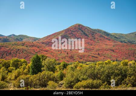 Park City, Utah, USA fogliame lungo il Wasatch Torna in autunno. Foto Stock