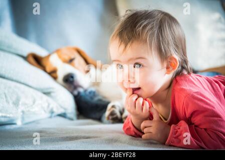 Il cane Beagle dorme sul divano. Bambina in camicia rossa sdraiata sul ventre accanto a lui. Foto Stock