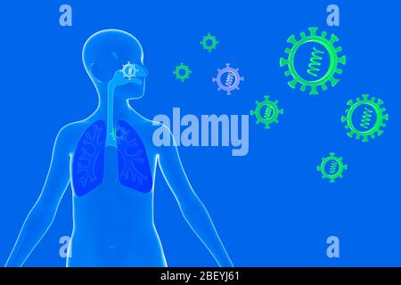 Illustrazione 3D dell'anatomia umana semplificata con il sistema respiratorio umano e i virus e i batteri che possono entrarle. Foto Stock