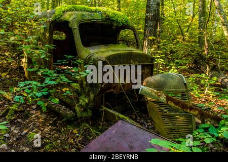 Un camion derelict nel bosco, Algonquin Provincial Park, Nipissing Township, Ontario, Canada Foto Stock
