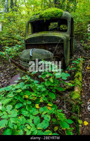 Un camion derelict nel bosco, Algonquin Provincial Park, Nipissing Township, Ontario, Canada Foto Stock