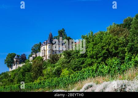 Castello di Haardt, Neustadt an der Weinstrasse, Renania-Palatinato, Germania Foto Stock