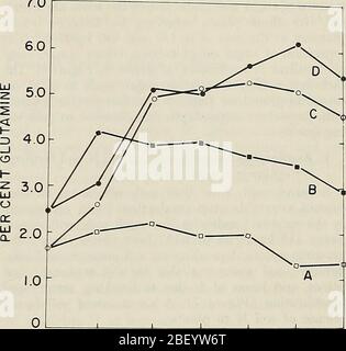 "Uso efficiente dell'azoto sui terreni coltivati nel Nordest" (1980) Foto Stock