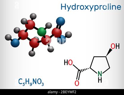 Idrossiprolina, Hyp, molecola C5H9NO3. È un aminoacido proteinogenico comune e un componente principale della proteina collagene. Chimica strutturale Illustrazione Vettoriale