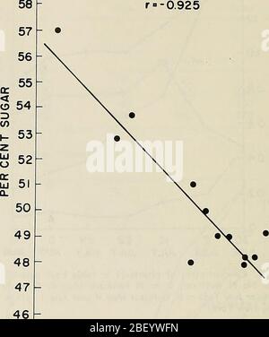 "Uso efficiente dell'azoto sui terreni coltivati nel Nordest" (1980) Foto Stock