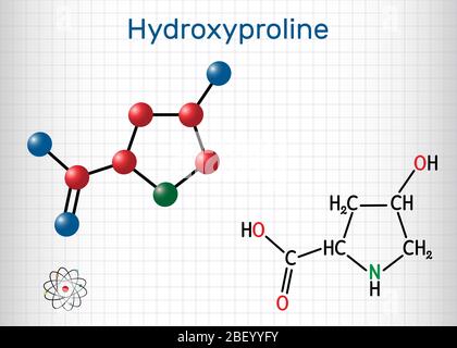 Idrossiprolina, Hyp, molecola C5H9NO3. È un aminoacido proteinogenico comune e un componente principale della proteina collagene. Chimica strutturale Illustrazione Vettoriale