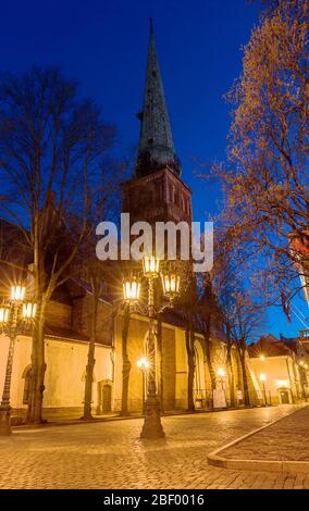 Cattedrale di San Giacomo o Basilica della Cattedrale di San Giacomo. E' un famoso punto di riferimento lettone. Riga. Lettonia. Foto Stock