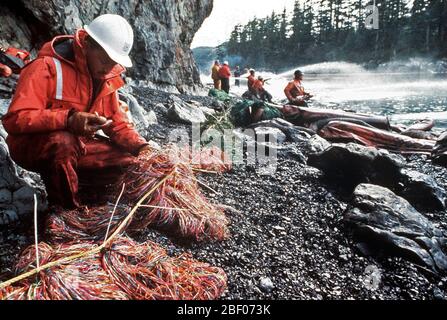 Prince William Sound, AK (Mar. 28)--Coast Guardsman controlli di recupero olio mesh come altri sbuffo di vapore rocce e coste bagnare con olio grezzo dalla fuoriuscita di petroliera Exxon Valdez. La Exxon Valdez si è arenata sulla Bligh Reef in Prince William Sound, Alaska, 23 marzo 1989 la fuoriuscita di 11 milioni di galloni di petrolio greggio che ha provocato la più grande marea nera nella storia degli Stati Uniti. Foto Stock