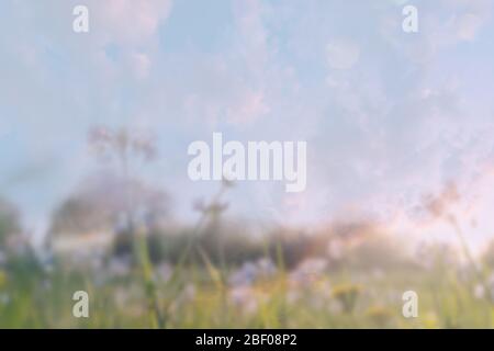 Una doppia esposizione con perdite di luce vintage e bokeh di un primo piano di un fiore di cucù sfocato (Cardamine pratensis). Con una drea astratta e sperimentale Foto Stock