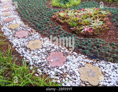 Blocco di fiori del passaggio nel piccolo giardino per decorare nel parco. Foto Stock