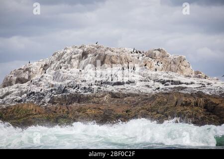 Isola di Saint Croix nella baia di Algoa, Baia di Nelson Mandela, Port Elizabeth, Sudafrica, sostiene la più grande colonia di allevamento di pinguino africano in via di estinzione Foto Stock