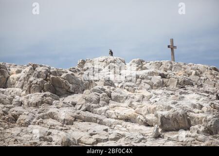 Isola di Saint Croix nella baia di Algoa, Baia di Nelson Mandela, Port Elizabeth, Sudafrica, sostiene la più grande colonia di allevamento di pinguino africano in via di estinzione Foto Stock