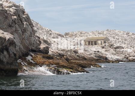 Isola di Saint Croix nella baia di Algoa, Baia di Nelson Mandela, Port Elizabeth, Sudafrica, sostiene la più grande colonia di allevamento di pinguino africano in via di estinzione Foto Stock